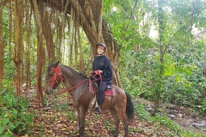The Ultimate Dominican Horseback Riding Adventure - A Practical Look at The Ultimate Dominican Horseback Riding Adventure