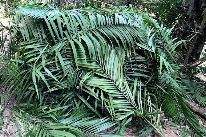The Ultimate Hikers Choice - 5 days forest trek with homestay and camping - The Detailed Experience of the 5-Day Forest Trek in Laos