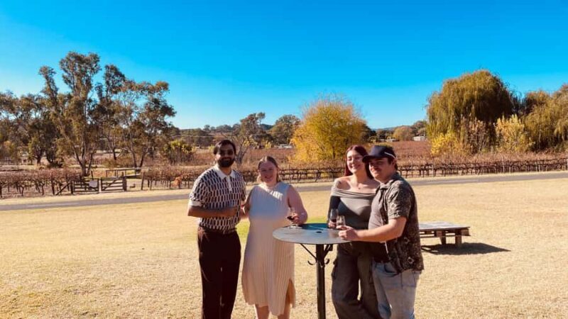 The Ultimate McLaren Vale Experience: Wine, Views & Luxury - An In-Depth Look at the Ultimate McLaren Vale Tour