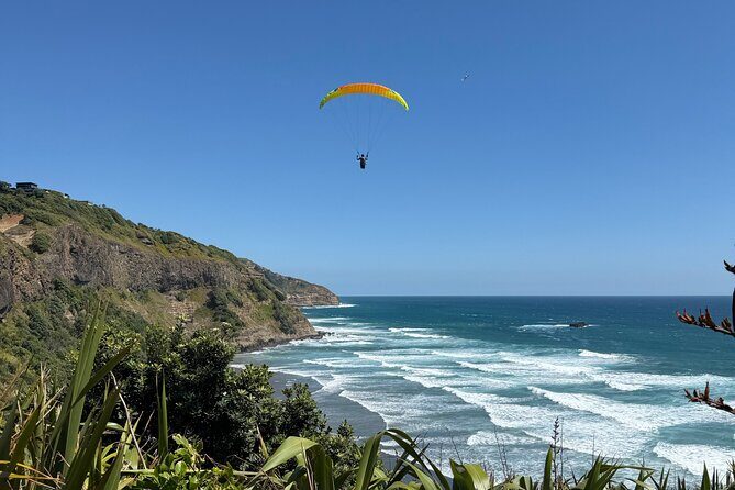 The Ultimate Muriwai Gannet Colony Experience Private Tour - Exploring the Muriwai Gannet Colony: What to Expect