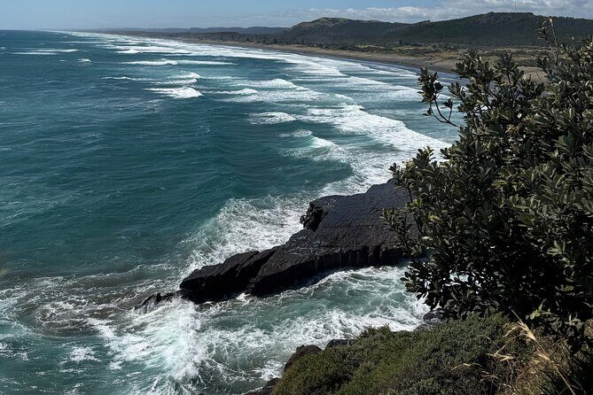 The Ultimate Muriwai Gannet Colony Experience Private Tour - Why Choose a Private Tour?