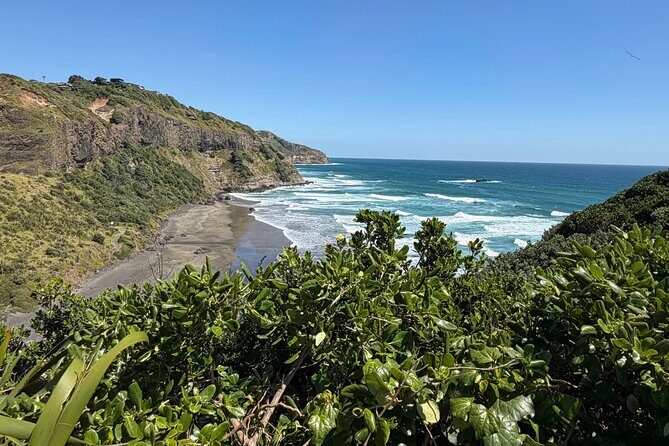 The Ultimate Muriwai Gannet Colony Experience Private Tour - Final Thoughts: Is It Worth It?
