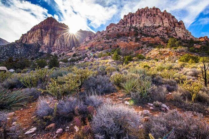 The Ultimate Red Rock Canyon Scenic Experience - The Sum Up: Who Should Book?