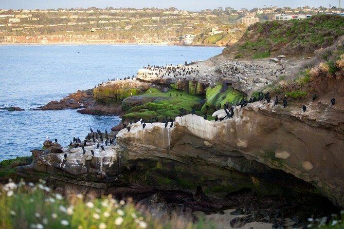 The Ultimate San Diego Tour - What Travelers Say: Authentic Perspectives