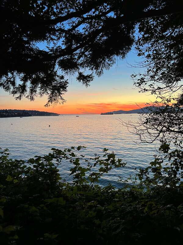 The Ultimate Stanley Park E-Bike Tour - Practical Details and Value