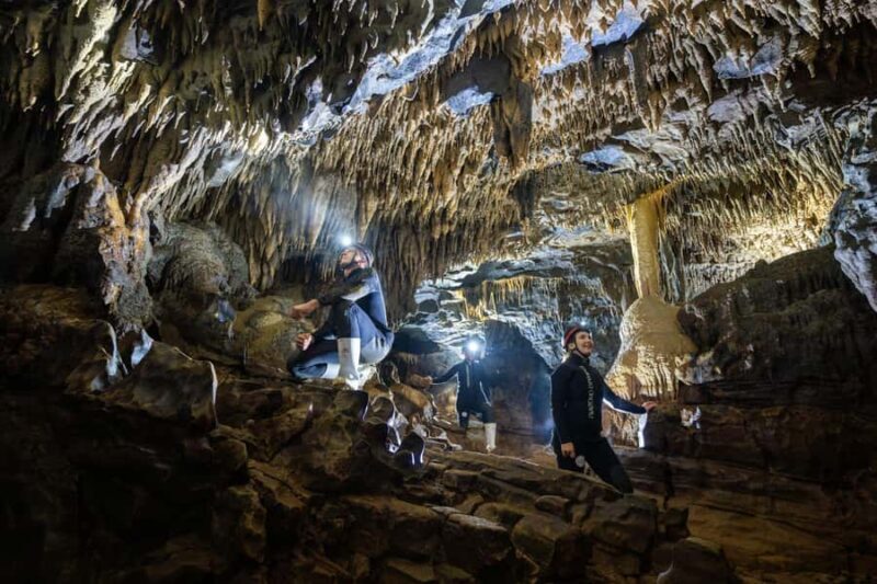 The Waitomo Experience : Okohua Glowworm Cave Tour - Key Points