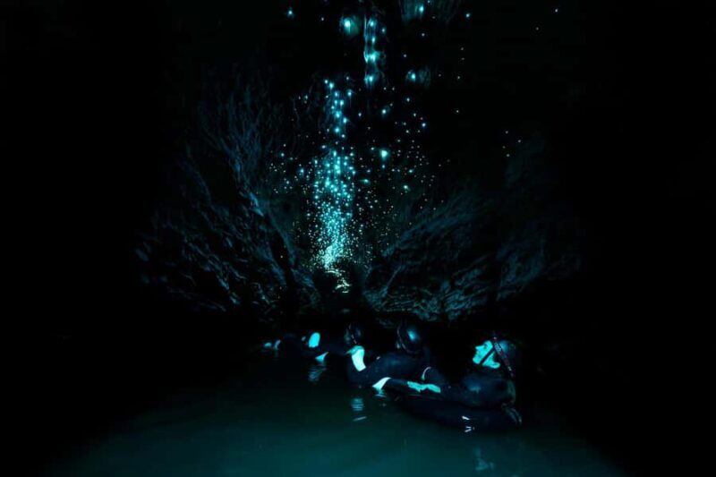 The Waitomo Experience : Okohua Glowworm Cave Tour - Who Will Find This Tour Most Enjoyable?