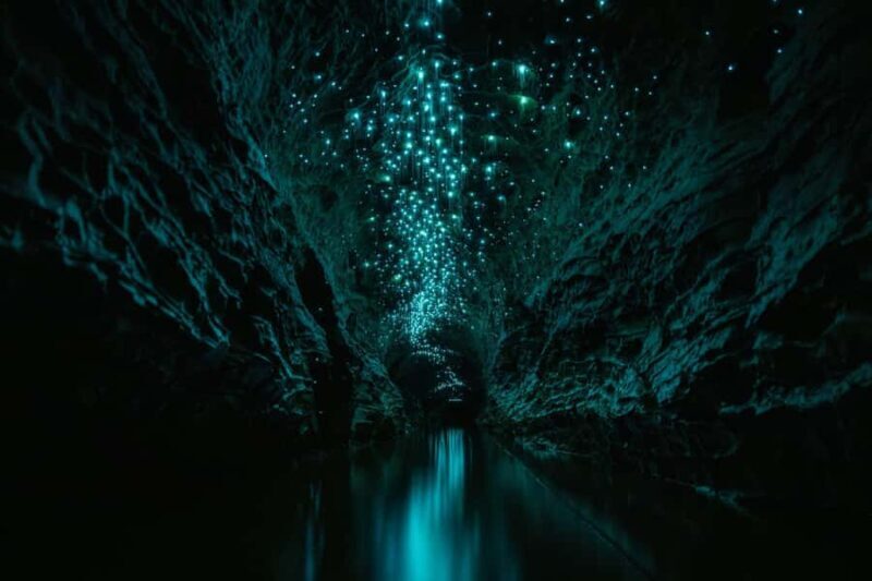 The Waitomo Experience : Okohua Glowworm Cave Tour - The Sum Up