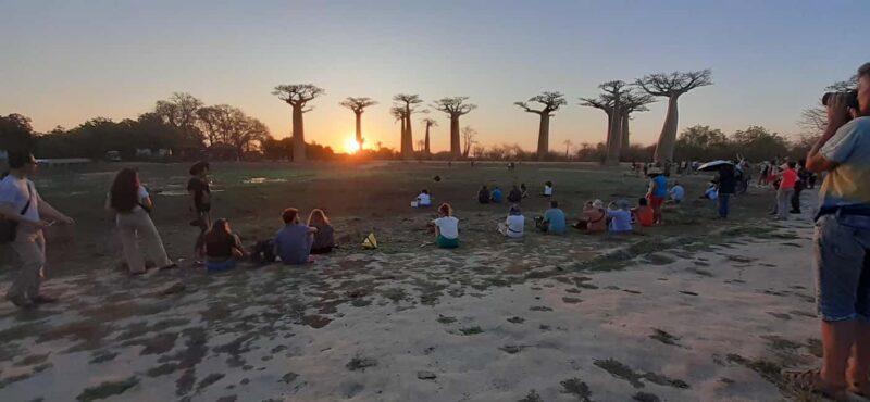 The west beauty of Madagascar: Tsingy and Baobab trees - Key Points