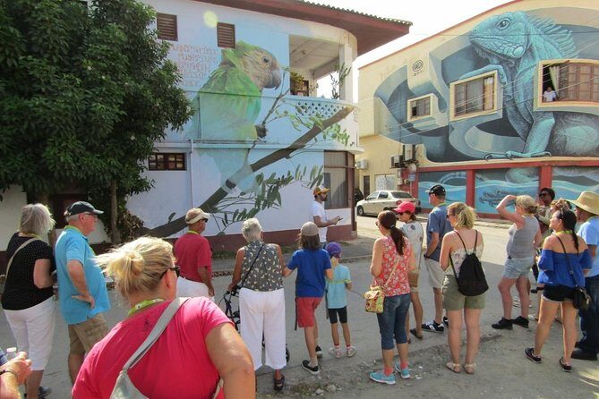 The Whole Story Tour of San Nicolas in Aruba - Authentic Traveler Perspectives