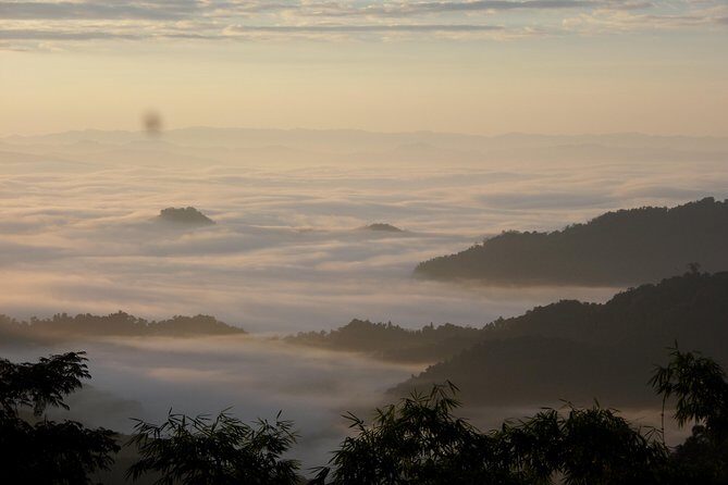 The Wild Explorer - 3 days forest trek with homestay and camping - The Sum Up