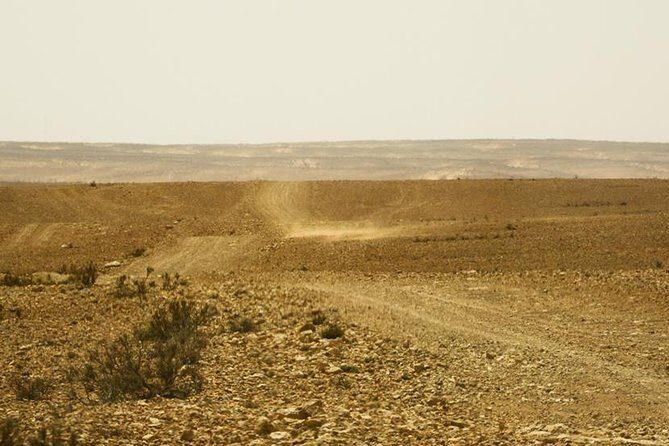 The Wonders of Tunisia: 8 days / 7 nights - An In-Depth Look at the Tour Experience