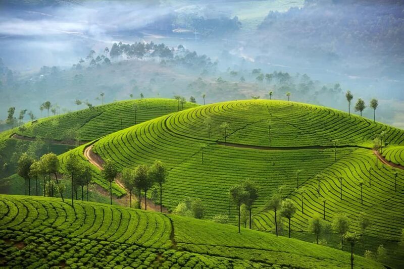 Thekkady Adventure: Off-Road Jeep Safari & Vagamon Tour - What to Expect: Step-by-Step Breakdown