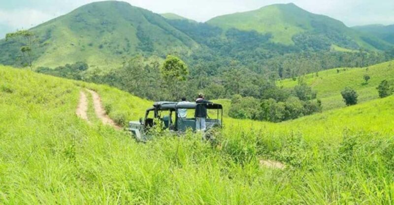 Thekkady Adventure: Off-Road Jeep Safari & Vagamon Tour - Final Thoughts