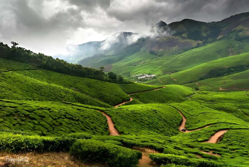 Thekkady Adventure: Off-Road Jeep Safari & Vagamon Tour - FAQs
