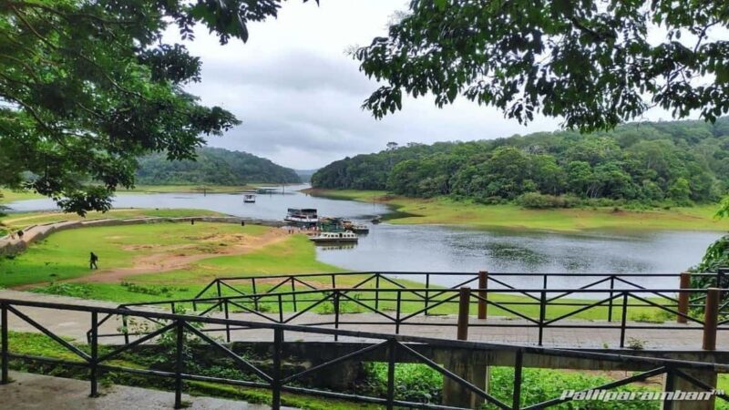 Thekkady: Vagamon Hill Station Day Trip with Breakfast - Final Thoughts