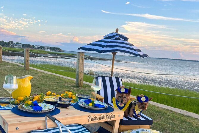 Themed Luxury Picnic - An In-Depth Look at the Luxury Picnic Experience