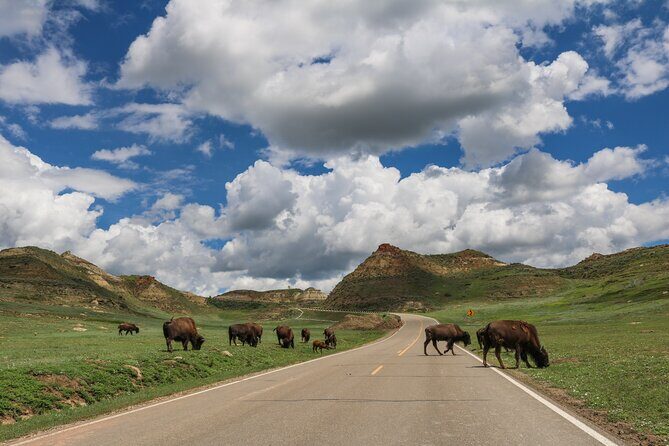 Theodore Roosevelt National Park Self-Guided Audio Tour - A Deep Dive into the Itinerary