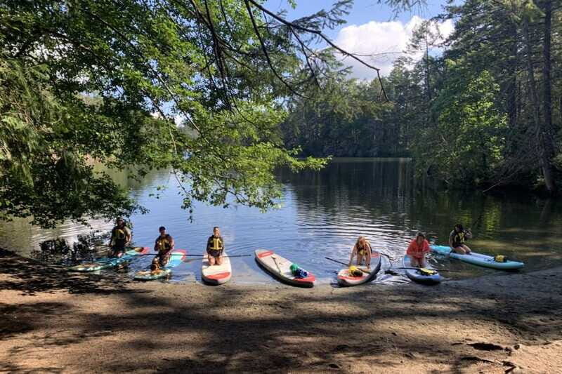Thetis Lake: Paddle Board Tour with Gear Included - What Makes This Paddle Board Tour Stand Out?