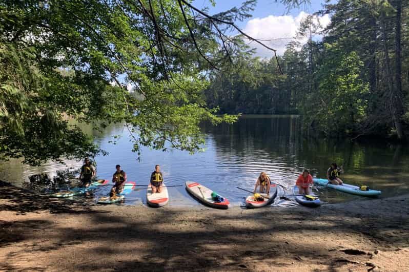 Thetis Lake: Paddle Board Tour with Gear Included - The Sum Up: Who Should Consider This Tour?