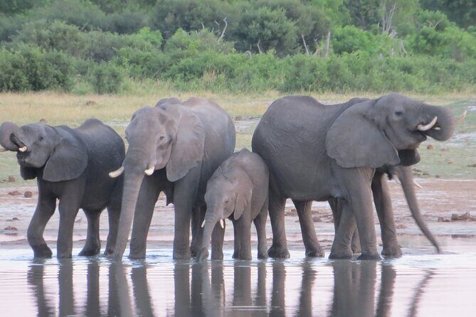 Things To Do in Victoria Falls - Key Points