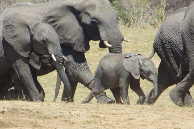 Things To Do in Victoria Falls - An Overview of the Experience