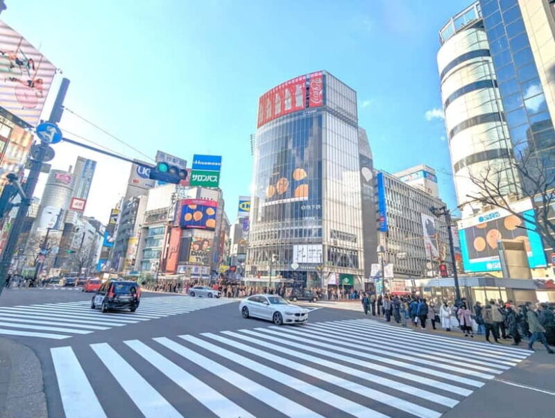 This is Real TOKYO!! SHIBUYA Tour from TGP!! - Who Would Benefit Most?