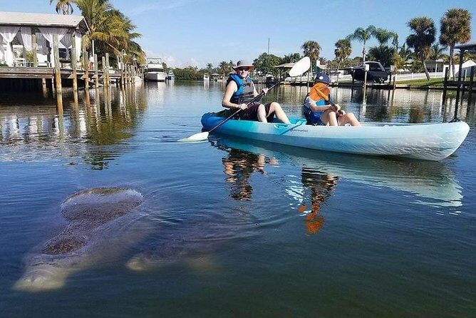 Thousand Island Mangrove Tunnel, Manatee & Dolphin Kayak Tour w/Cocoa Kayaking - Cost & Value: Is It Worth It?