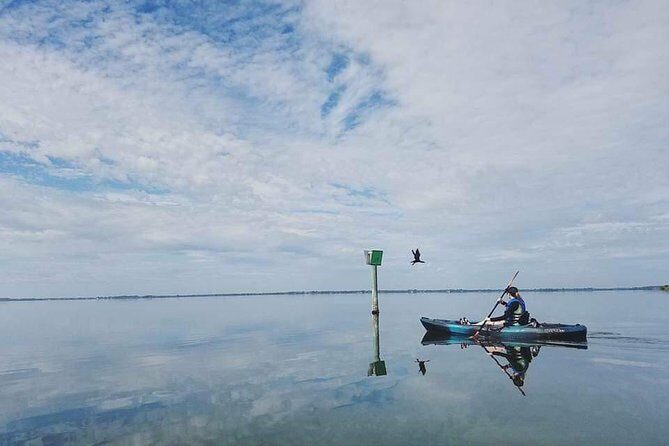 Thousand Island Mangrove Tunnel, Manatee & Dolphin Kayak Tour w/Cocoa Kayaking - Practical Tips for Participants