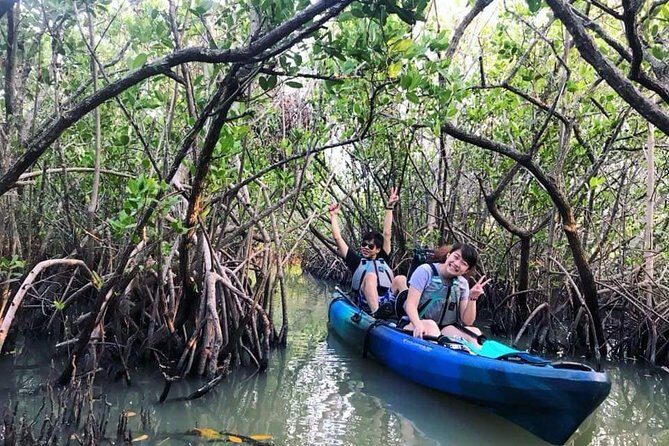 Thousand Island Mangrove Tunnel, Manatee & Dolphin Kayak Tour w/Cocoa Kayaking - The Sum Up