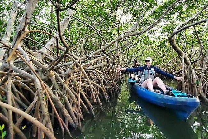 Thousand Island Mangrove Tunnel, Manatee & Dolphin Kayak Tour w/Cocoa Kayaking - FAQ