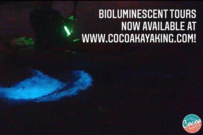 Thousand Islands Bioluminescent Kayak Tour with Cocoa Kayaking! - Who Should Consider This Tour?