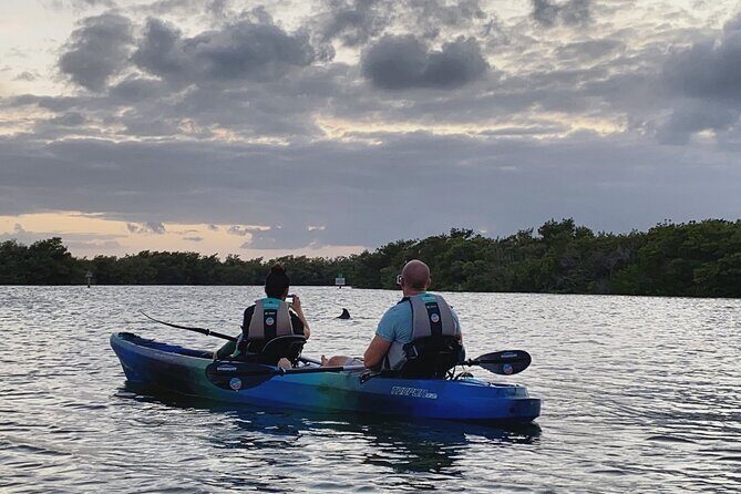 Thousand Islands Mangrove Tunnel & Bio Comb Jelly Sunset Tour - The Value of This Tour
