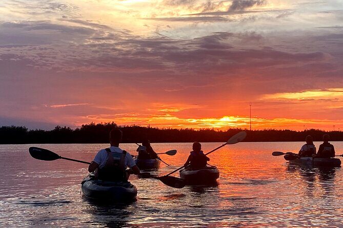 Thousand Islands Mangrove Tunnel & Bio Comb Jelly Sunset Tour - Who Will Love This Tour?