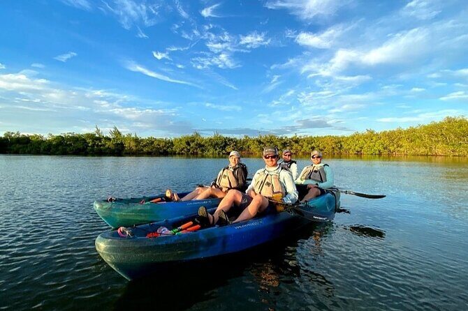 Thousand Islands Mangrove Tunnel & Bio Comb Jelly Sunset Tour - The Sum Up
