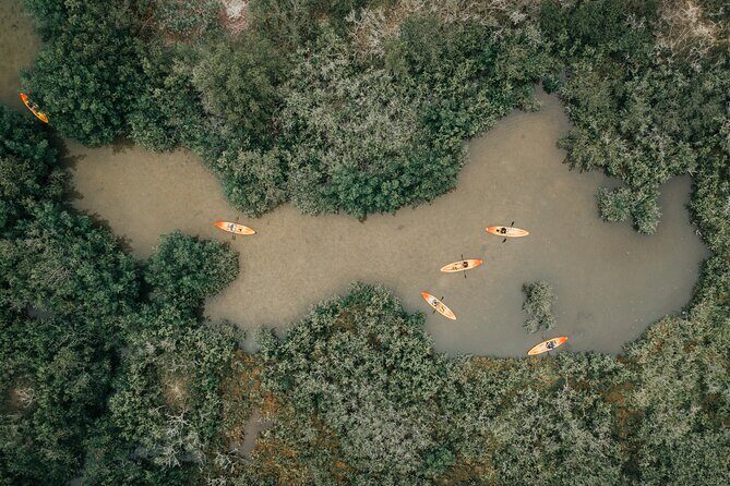 Thousand Islands Mangrove Tunnel Kayak Tour with Cocoa Kayaking! - The Sum Up