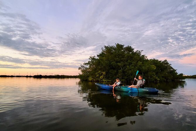 Thousand Islands Mangrove Tunnel Sunset Kayak Tour with Cocoa Kayaking! - An In-Depth Look at the Tour