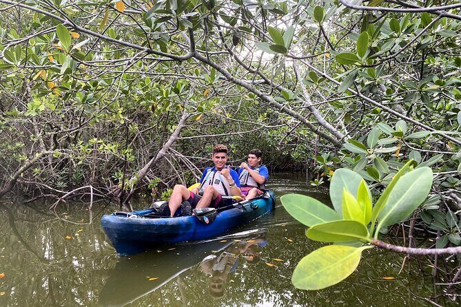 Thousand Islands Mangrove Tunnel Sunset Kayak Tour with Cocoa Kayaking! - FAQ