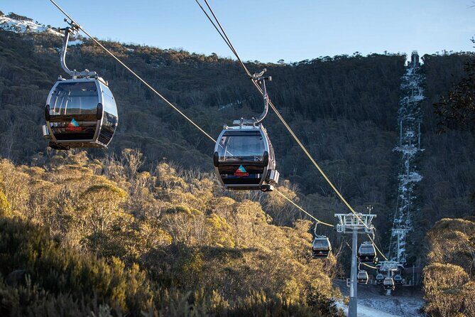Thredbo or Perisher Bus Trip from Canberra - How the Trip Works – A Detailed Look