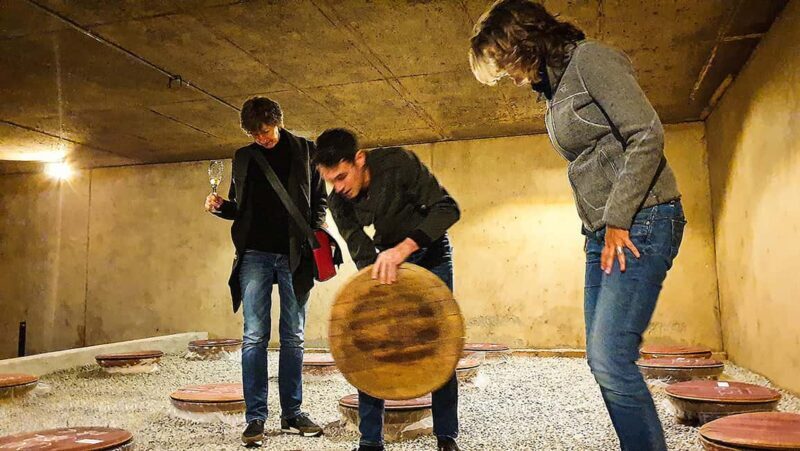 Three Cape Wine Districts: Private tour with winemaker. - An Inside Look at the Three-Cape Wine Districts Tour