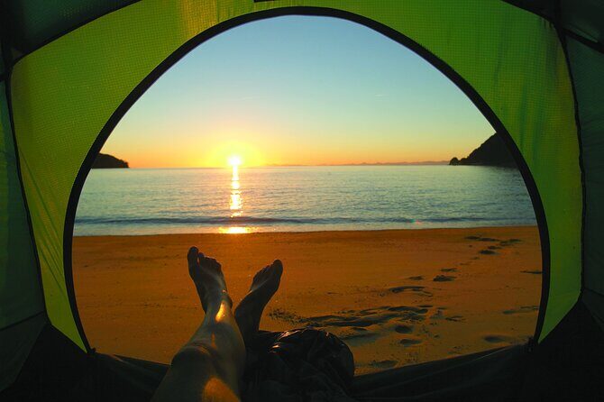 Three Day Classic Kayaking in New Zealand - A Full Breakdown of the Experience