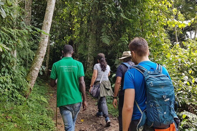 Three-day Nyungwe Canopy and Kivu Lake Adventure - Key Points