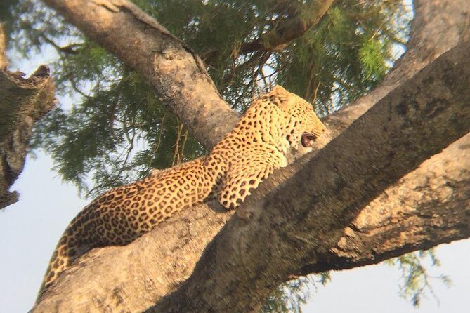 Three days escape to Queen Elizabeth National park - Introduction: What’s This Tour All About?