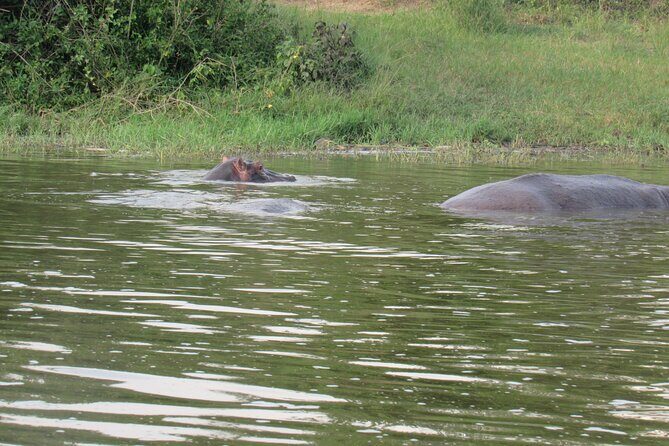 Three days escape to Queen Elizabeth National park - Who Will Love This Tour?