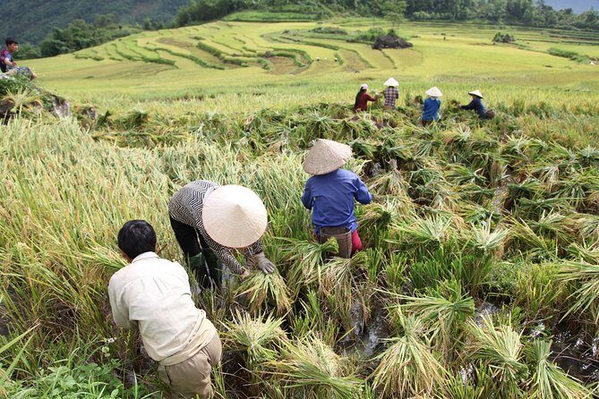 Three days motorbiking tour Pu Luong - FAQ