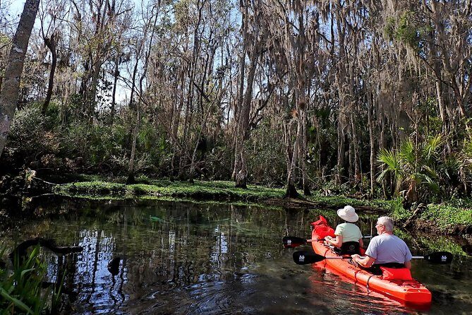 Three Sisters Springs Kayak And Swim Eco-Tour Crystal River - An Honest Look at the Three Sisters Springs Kayak and Swim Eco-Tour