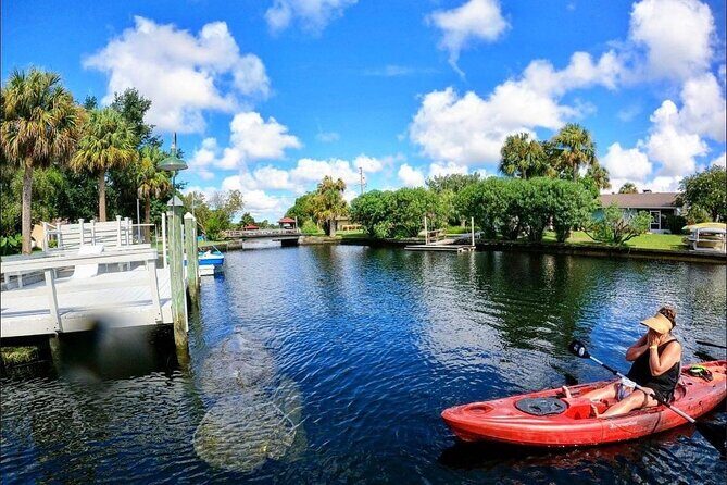 Three Sisters Springs Kayak And Swim Eco-Tour Crystal River - Key Points