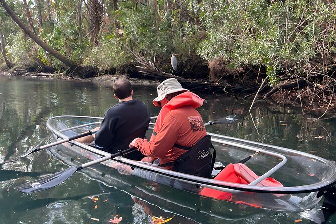 Three Sisters Sunset and Glow Clear Kayak & Wildlife Tour - Authentic Perspectives from Travelers
