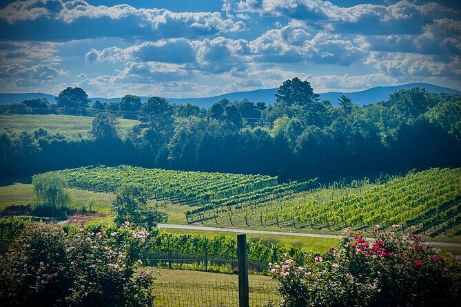 Three Vineyards Half Day Private Wine Tour From Asheville - A Closer Look at the Itinerary
