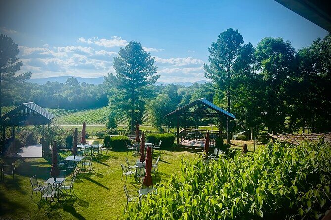 Three Vineyards Half Day Private Wine Tour From Asheville - Who Is This Tour Best For?